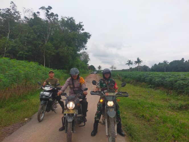 
					Babinsa Koramil 426-03 Rawajitu Bersama Warga Gotong Royong Timbun Jalan