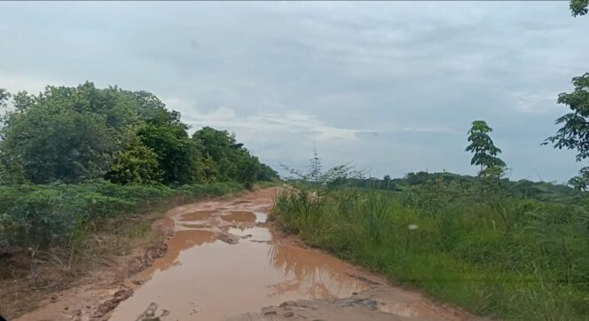 
					AGUSTINUS: “PEMKAB TUBA HARUS PRIORITAS PERBAIKI JALAN RUSAK DI KECAMATAN DENTE TELADAS”