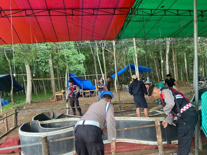 
					Polres Tulang Bawang Gerebek Dua Lokasi Judi Sabung Ayam di Areal Perkebunan Karet