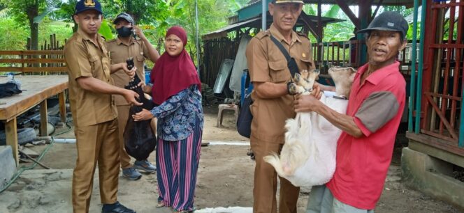 
					Program Ketahanan Pangan Hewani: Kepalou Tiyuh Pagar Buana Berikan 110 Ekor Kambing