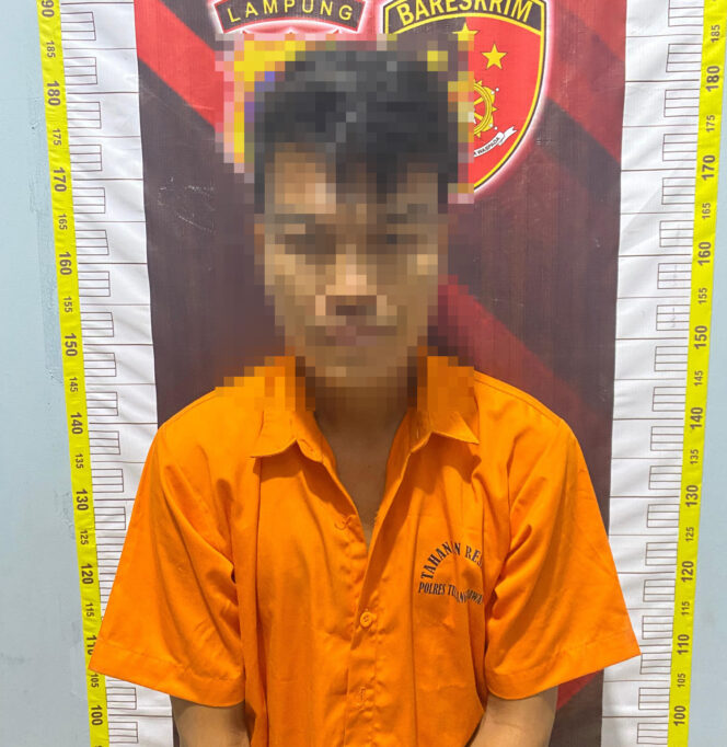 
					Sempat Kabur dan Bersembunyi, Pelaku Curi Sapi Dibekuk Tekab 308 Presisi Polres Tulang Bawang