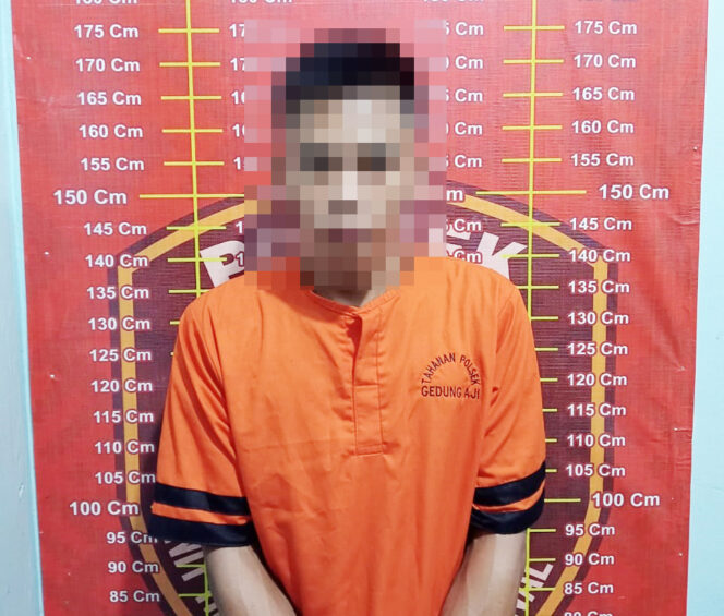
					Kurang Dari 24 Jam, Polsek Gedung Aji Bekuk Pelaku Pencurian Ternak Menggunakan Mobil Truk