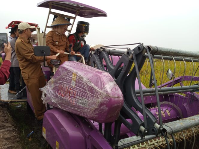 
					Bupati Elfianah Pimpin Panen Raya Padi dan Serahkan Alsintan untuk Meningkatkan Produktivitas Pertanian