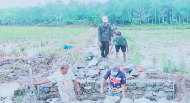 
					Gapoktan Tani Jaya Desa Jaya Sakti Bangun Gorong-Gorong untuk Tingkatkan Produktivitas Pertanian